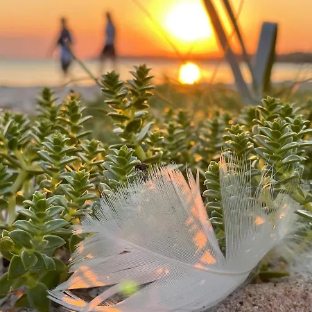 Lejlighed Windfluechter 3